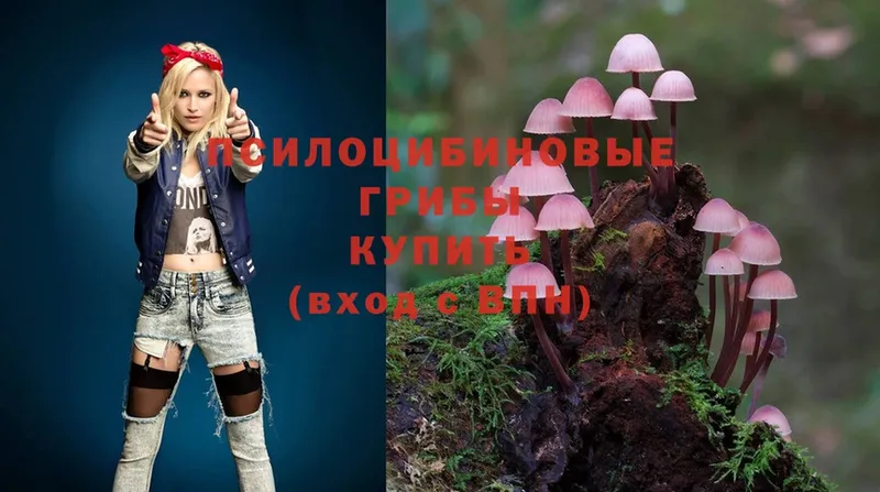 где купить наркотик  Артёмовск  гидра ТОР  Галлюциногенные грибы Magic Shrooms 